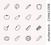 vector vegetable line icon set... | Shutterstock .eps vector #1144611008