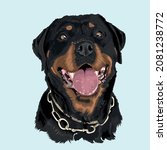 Vector Rottweiler Dog Portrait...