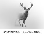 Red Deer Nature Wildlife Animal ...