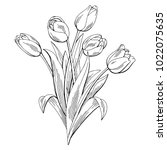 Tulip Flower Graphic Black...