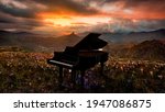Piano In Nature At Sunset. Arte ...