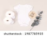 White Baby Bodysuit With White...