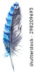 Watercolor Blue Jay Feather...