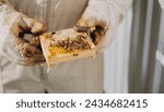 Small photo of A beekeeper holds a small frame with bees. Reproduction of bees closeup. Swarming, Hive is preparing to swarm