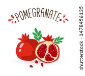 Pomegranate Hand Drawn Vector...