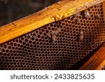 Small photo of Close up view of the working bees on the honeycomb with sweet honey. Yellow honeycomb just taken from beehive with sweet honey. Bee honey collected in the beautiful yellow honeycomb.