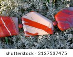 Beads made of natural red jasper on a background of reindeer moss.