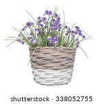 Basket With  Flowers On A White ...