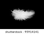 White Feather On A Black