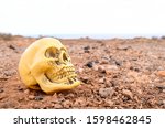 Abandoned Human Skull In The...
