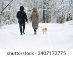 An anonymous couple walks through a snowy forest in the snow with a dog. walking the dog in winter. close-up
