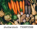 Root crops, carrots, parsley root, turnip, onion, garlic, Jerusalem artichoke, horseradish. Root crops background. Food background