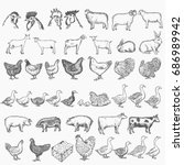 Farm Animals Collection  Vector ...
