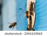 Small photo of Group of bees near a beehive, in flight. Wooden beehive and bees. Bees fly out and fly into the round entrance of a wooden vintage beehive in an apiary close up view.