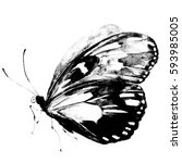 Black Butterfly Watercolor ...