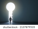Back view of businessman standing in abstract key opening in wall with bright light and mock up place. Solution and decision concept