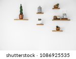Cacti on wooden shelves in empty interior with copy space on white wall