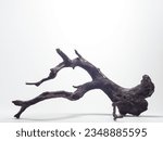Small photo of Woody roots isolated on a white background, often used as an aquatic or non-aquatic decoration