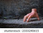 Small photo of Tallinn, Estonia - July 9, 2023: Scary realistic human hand or Thing with scars and stiches. Cut off hand with active fingers. Plastic toy. Wednesday Addams movie concept.