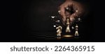 Small photo of Hand choose king chess fight concept of challenge or team player or business team and leadership strategy or strategic planning and human resources organization risk management.
