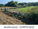 Small photo of agricultural farm delimited by flat stones placed vertically around the farm