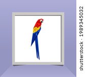 Scarlet Macaw Bird Looks Cool...