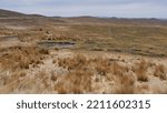 Small photo of Road crossing a hot, sandy, huge desert, with some lakes and little greenery, with some birds in the surroundings, in Peru. Desert and torrid area, with water stream and some vegetation
