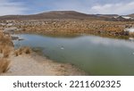 Small photo of Road crossing a hot, sandy, huge desert, with some lakes and little greenery, with some birds in the surroundings, in Peru. Desert and torrid area, with water stream and some vegetation