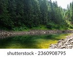 Small photo of Alpine glacial lake in the forest, small lake in the wildest place in Europe