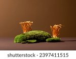 Small photo of Cordyceps and green moss are displayed on a brown background. Cordyceps is a precious oriental medicine that is essentially a parasitic form of the fungus Ophiocordyceps sinensis.