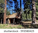 A log cabin in the pine trees in the Ochoco National Forest in Central Oregon on a sunny summer day.