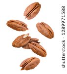 Falling Pecan  Nut  Isolated On ...
