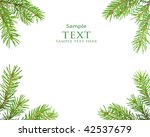 pine tree branch isolated on... | Shutterstock . vector #42537679