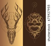skull of a deer with horns. a... | Shutterstock .eps vector #675927955