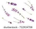 lavender flowers isolated on... | Shutterstock . vector #712924708