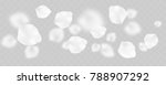 many tender white petals... | Shutterstock .eps vector #788907292