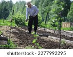 Small photo of The farmer is digging a garden. A man with harvester plows the garden. The gray-haired grandfather mows the garden.