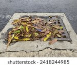 Small photo of Street water drain blocked with leaves. Debris blocks rainwater runoff, clogged sewer flooding across road after rain. Leafs clogs water drainage. Autumn foliage clogged storm drain, sewer