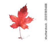 watercolor autumn leaf. maple... | Shutterstock .eps vector #2035585688