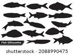 collection of animal fish... | Shutterstock .eps vector #2088990475