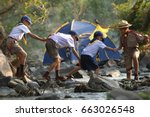 Scouts Are Helping To Cross The ...