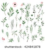 set sprigs of green plants.... | Shutterstock .eps vector #424841878