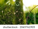 Small photo of Close up of cobweb, cobweb with unfocused background, textures of a cobweb, spiderweb.