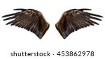 Two Spread Brown Eagle Wings ...