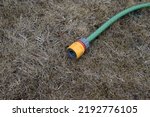 Small photo of End of a garden hose lying unused on dry grass. UK hosepipe ban due to drought.