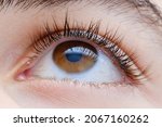 eye macro iris eyebrow... | Shutterstock . vector #2067160262