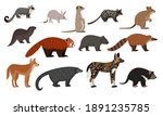 african animals set. cartoon... | Shutterstock .eps vector #1891235785