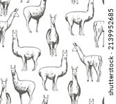 hand drawn lamas. vector ... | Shutterstock .eps vector #2139952685