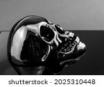 Glossy Black Skull Profile View