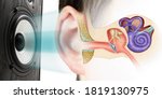 Small photo of Sound speaker and structure of the human ear. Influence of loud sound on hearing.